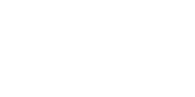 CANYON CLLCTV XCO