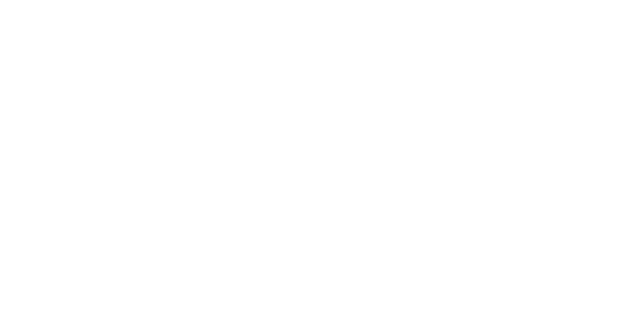 FRAMEWORKS RACING / 5DEV