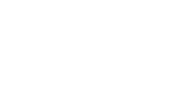 CANNONDALE FACTORY RACING